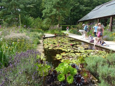 The Lily Pool garden