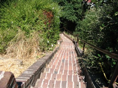 Down the Filbert Steps at Telegraph Hill