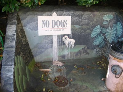 No Dogs, Teacup Poodles OK