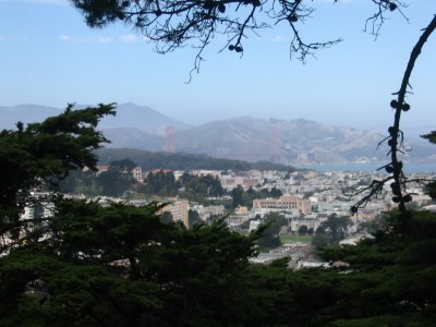 View from atop Buena Vista Park