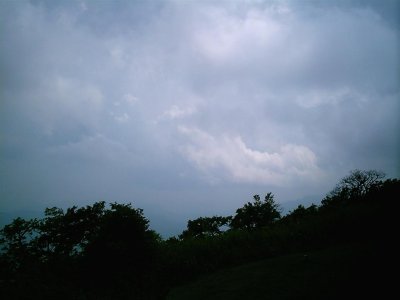 IMAG0083 Large.JPG