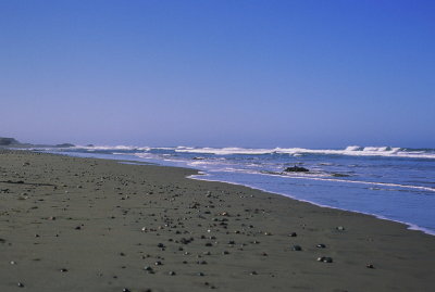 g4/70/525270/3/64207467.kHIKclk8.jpg