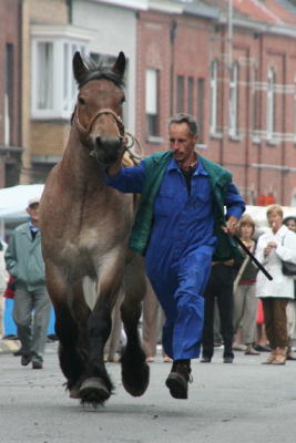 Paardenkeuring Drongen 2006