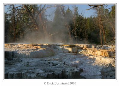 Unknown Terrace - Mammoth Hot Springs - Yellowstone