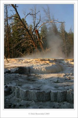 Unknown Terrace - Mammoth Hot Springs - Yellowstone