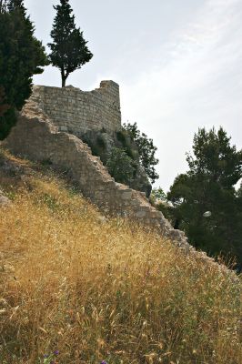 g4/70/585470/3/63386078.tJIsB8sX.jpg