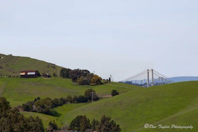 Carquinez Suspension Bridge