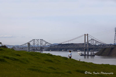 Carquinez Suspension Bridge