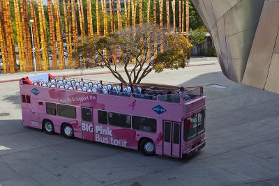 Big Pink Bus