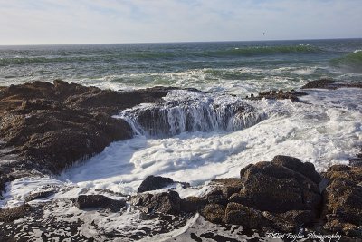 Cape Perpetua