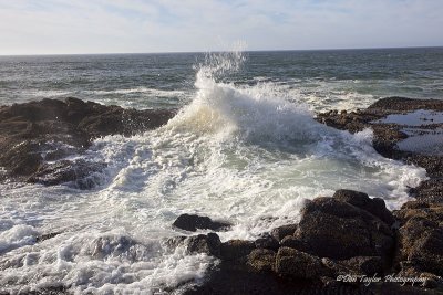 Cape Perpetua