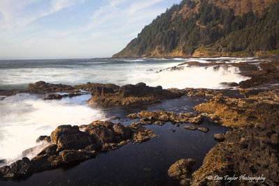 Cape Perpetua