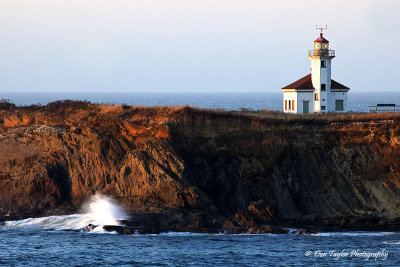  Cape Arago Lighthouse