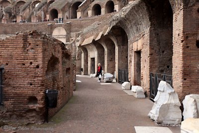 Rome Coliseum