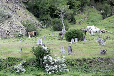 Tierra Dei Fuego National Park