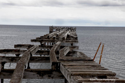 Punta Arenas