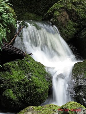 Cataract  Falls