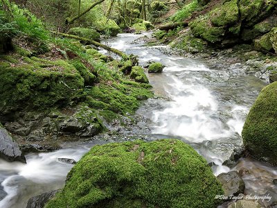 Cataract Creek