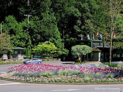 The Butchart Gardens