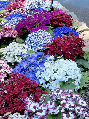 Butchart Gardens