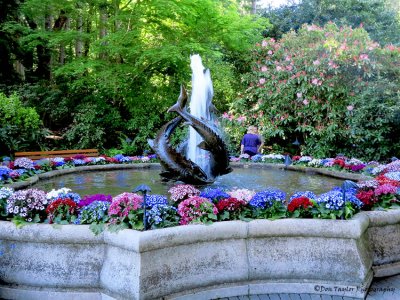 Butchart Gardens