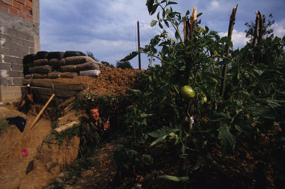 Vegetable camoflage