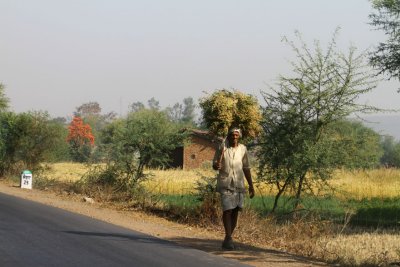 India2011_353.jpg