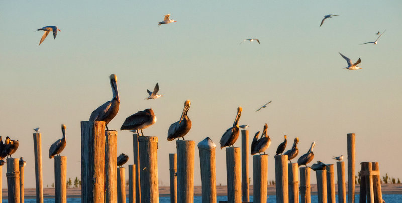 Biloxi, Mississippi