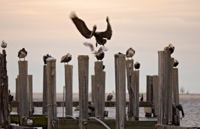 Intimidation - Biloxi, Mississippi