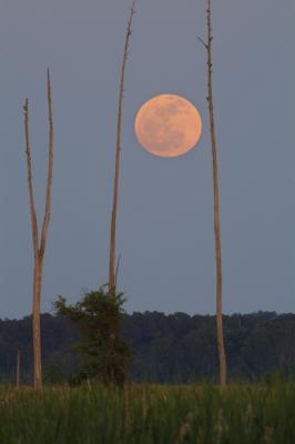 Moonrise 5-2005