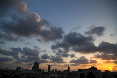 Enjoying the Sunset