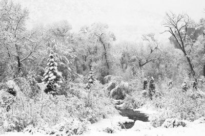 Utah - Winter 2010/11