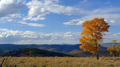 P1000297a2.jpg