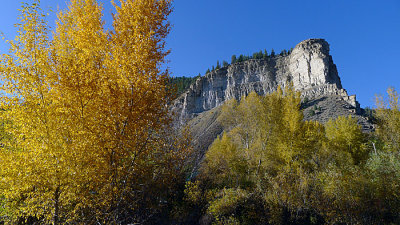 P1000736a.jpg
