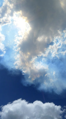 P1050875a.jpg