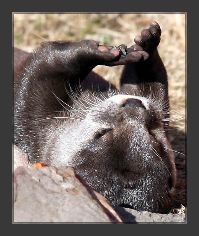 I need a manicure!