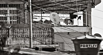 Dish & Laundry