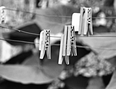 Clothespins-b&w