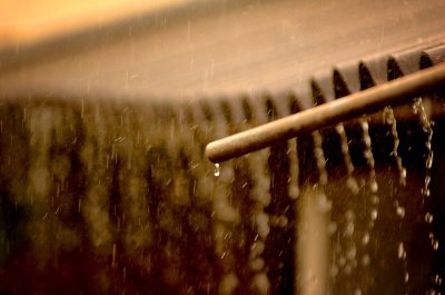 Summer Rain