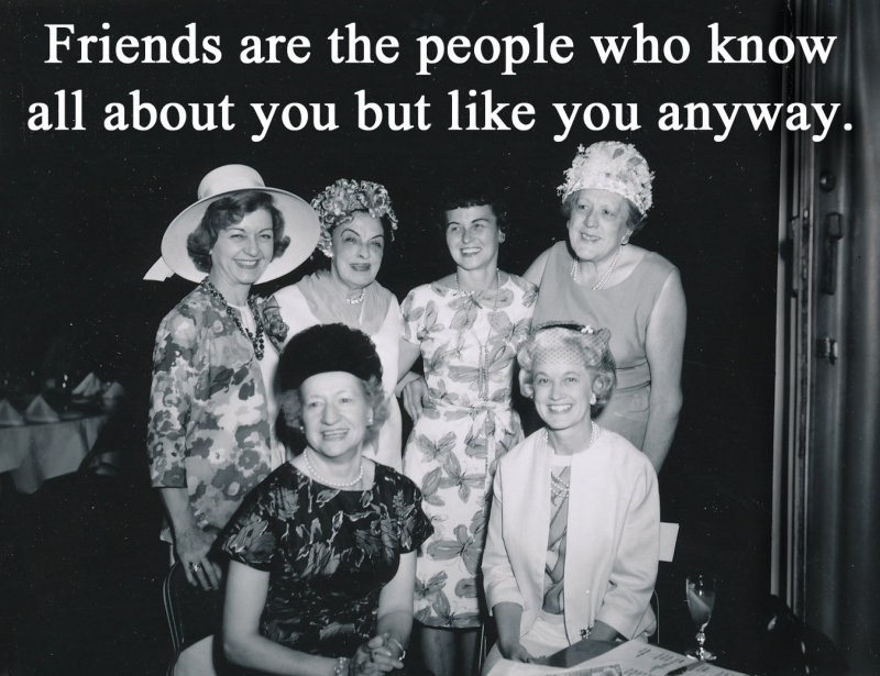 Friends like you