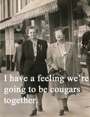 cougars