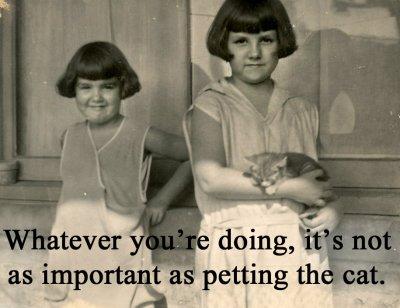 petting cat.jpg
