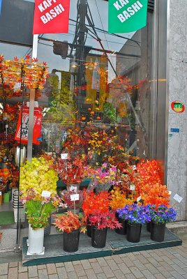 Kapabashi 13.jpg