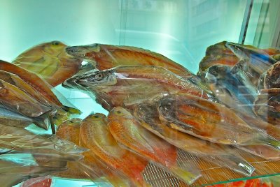 Kapabashi 19.jpg