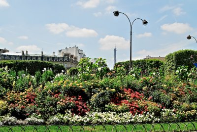 Paris 5.jpg