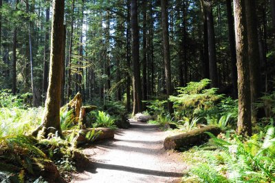 Crescent Lake, Waterfall Trail, Olympic National Park