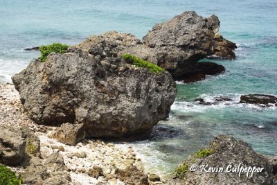 East Coast and Bathsheba