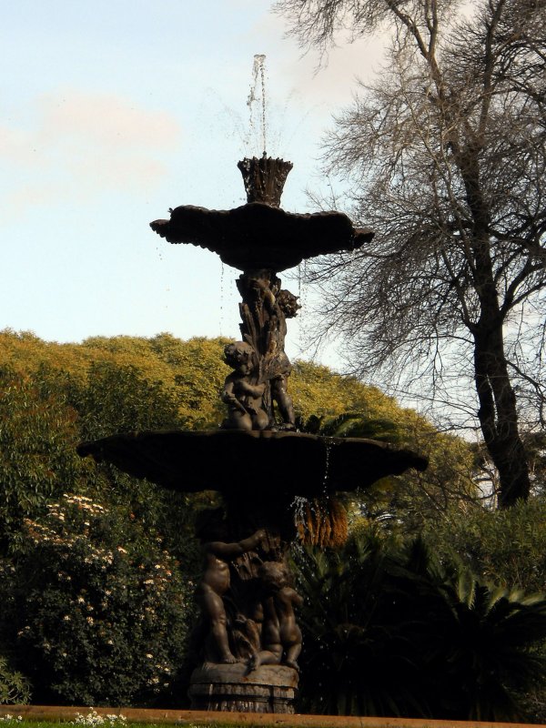 DSCN1037.jpg