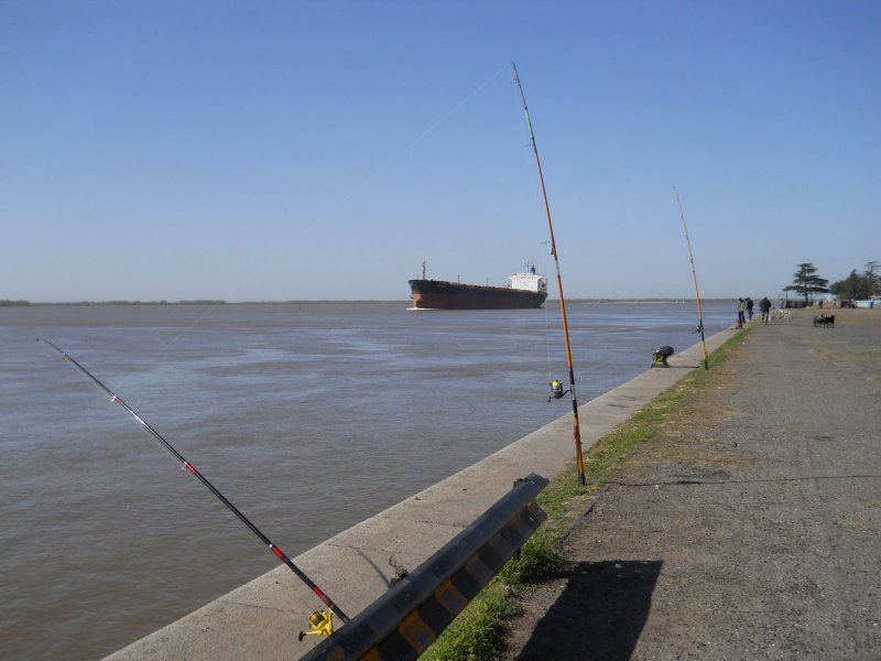 DSCN1072.jpg