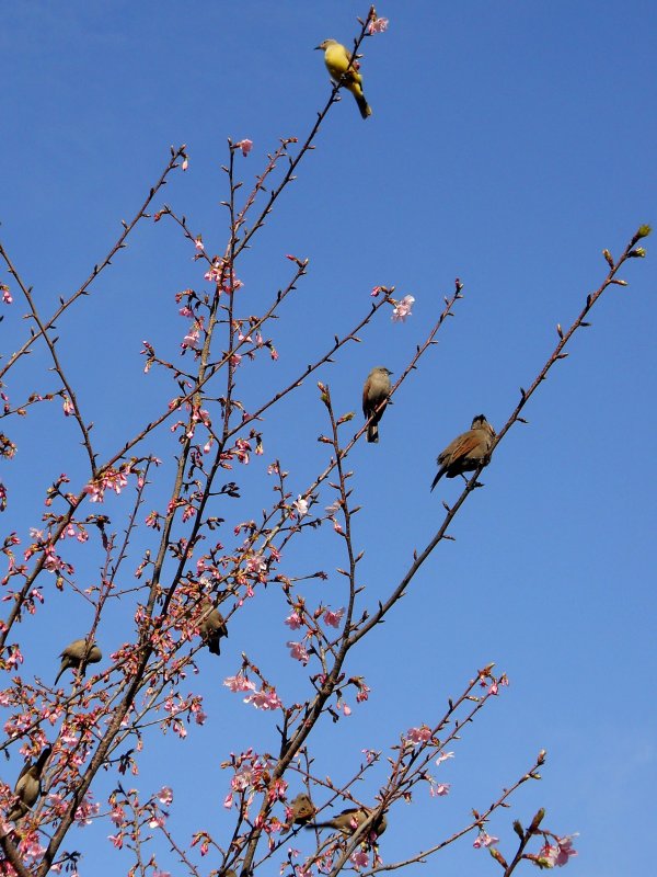 DSCN1219.jpg